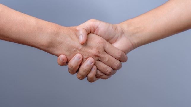 Discover the Power of Evest Partnerships